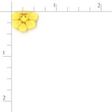Daffodil - Tiny