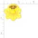 Daffodil - Large