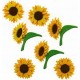 Sunflowers Sunflowers