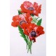 Oriental Poppies SL165